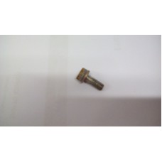CLANSMAN ACCU FRONT PANEL SCREW SLOTTED